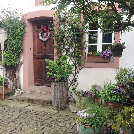 All Seasons Bed & Breakfast Kerpen  外观 照片