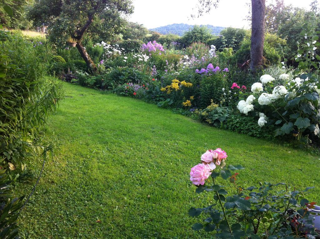 All Seasons Bed & Breakfast Kerpen  外观 照片