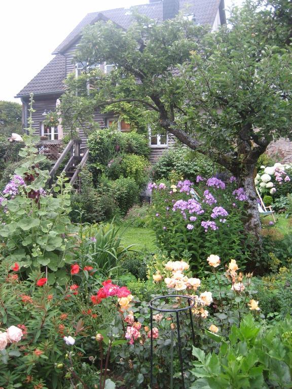 All Seasons Bed & Breakfast Kerpen  外观 照片